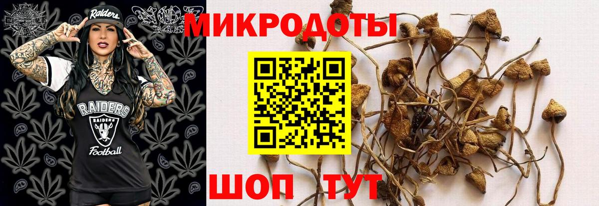 Псилоцибиновые грибы мицелий  Вход с VPN  Галлюциногенные грибы Psilocybe  дарнет шоп  Старая Купавна 